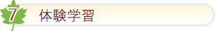体験学習